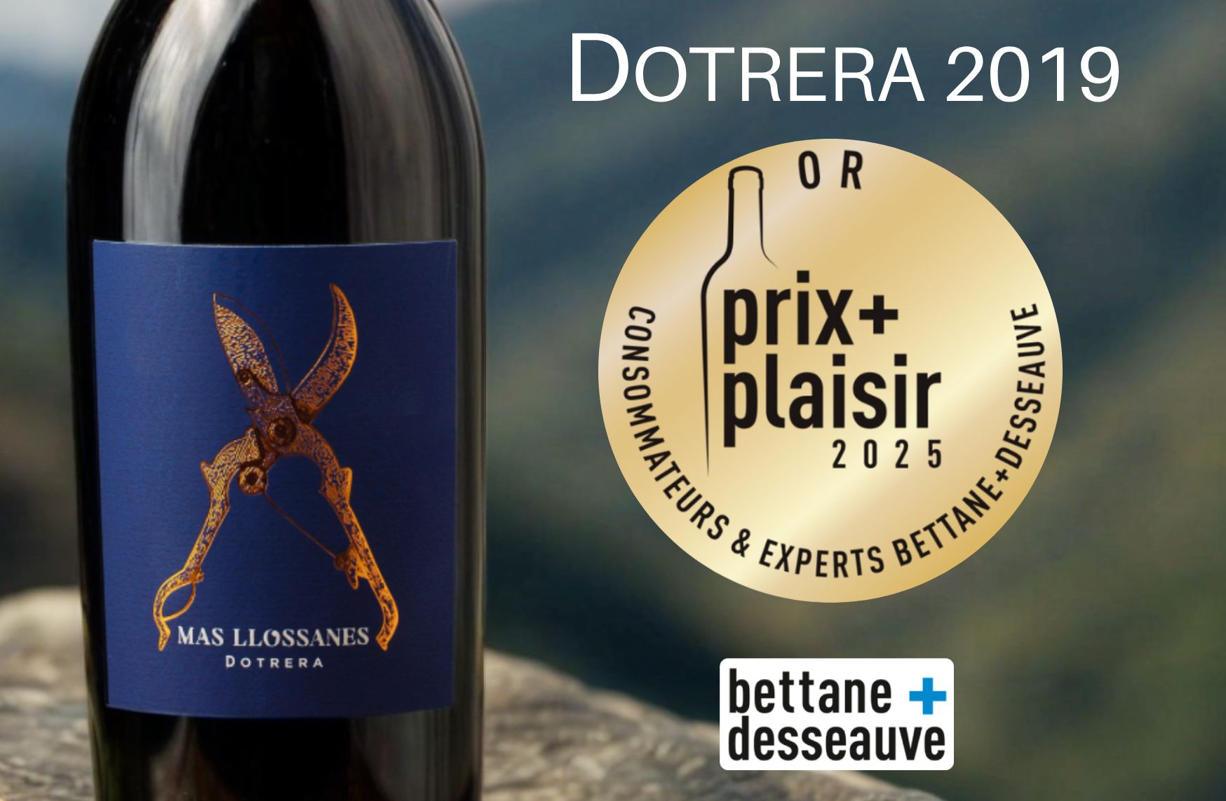 BOUTEILLE DE VIN ROUGE ET FOND DE MONTAGNE