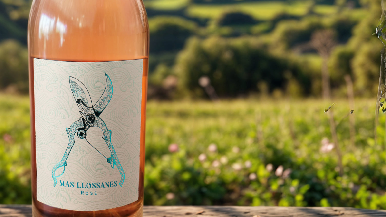 bouteille de rosé et fond de nature