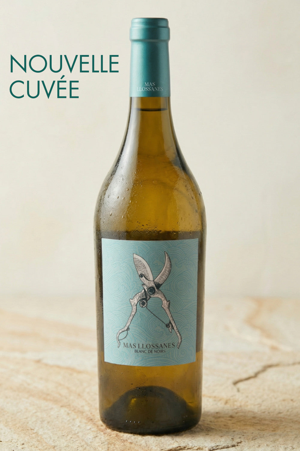 BLANC DE NOIRS 2025 - Vin Blanc d'altitude bio & biodynamique