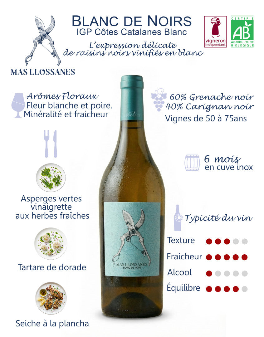 fiche technique blanc de noir