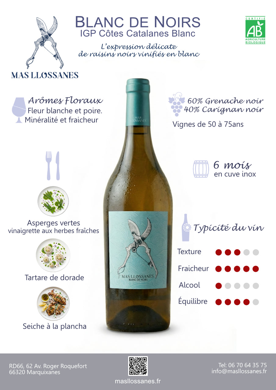 BLANC DE NOIRS 2025 - Vin Blanc d'altitude bio & biodynamique