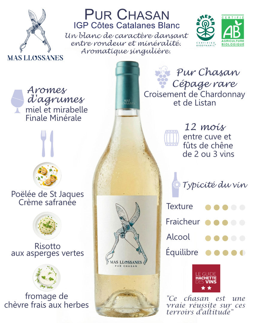cépage chasan